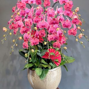 Lan Hồ Điệp - Phúc Hồng Vượng Lộc